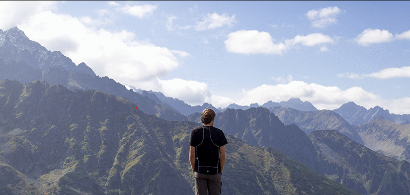 Bizop: Unlocking New Doors to Entrepreneurship